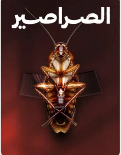 الصراصير