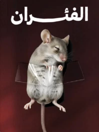 الفئران