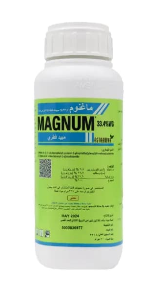 zoom image